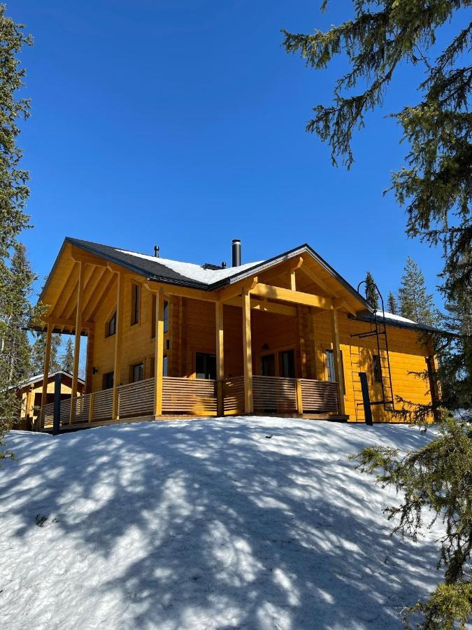 Lapland Dream Villas Rauhala المظهر الخارجي الصورة