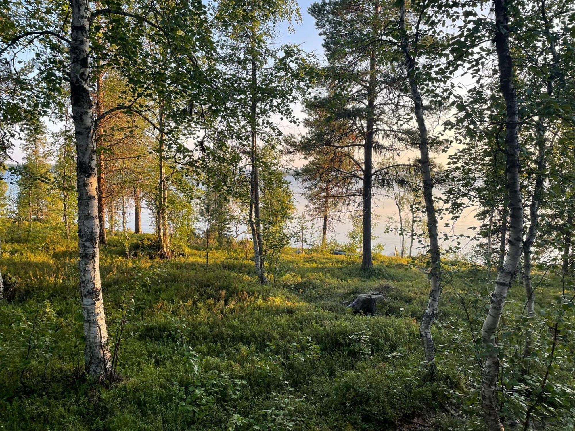 Lapland Dream Villas Rauhala المظهر الخارجي الصورة
