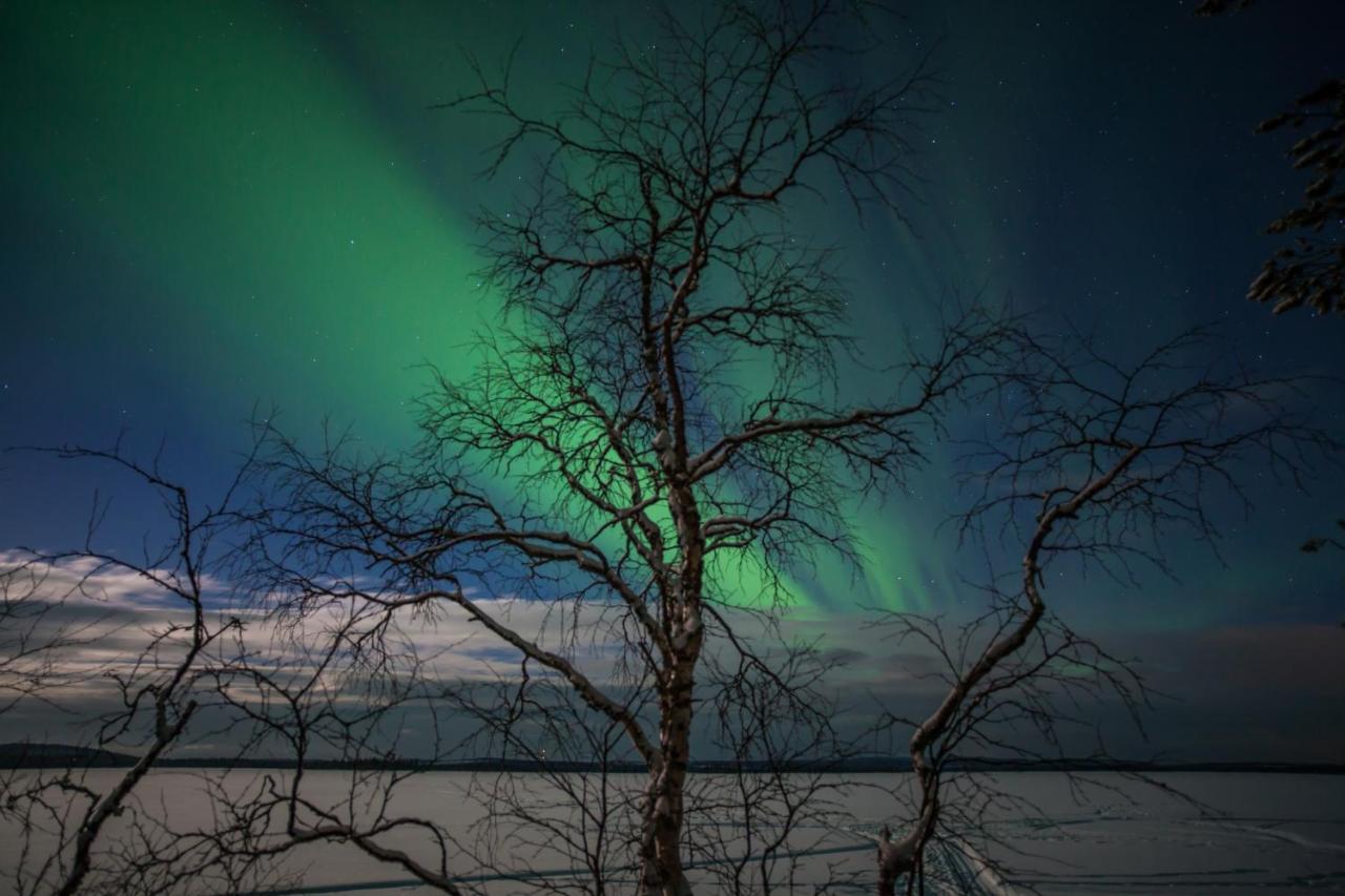 Lapland Dream Villas Rauhala المظهر الخارجي الصورة