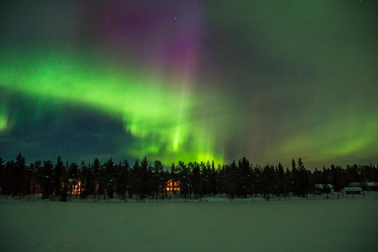 Lapland Dream Villas Rauhala المظهر الخارجي الصورة
