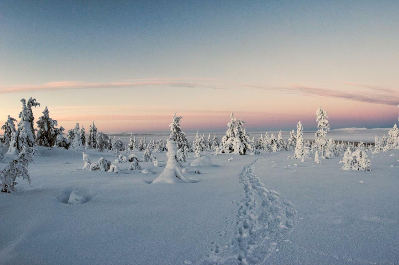 Lapland Dream Villas Rauhala المظهر الخارجي الصورة